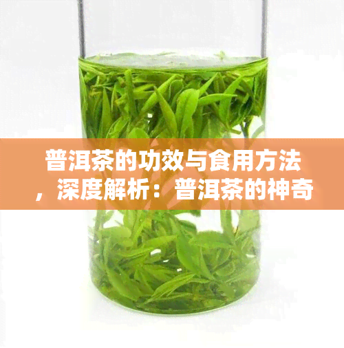 普洱茶的功效与食用方法，深度解析：普洱茶的神奇功效及正确饮用方式