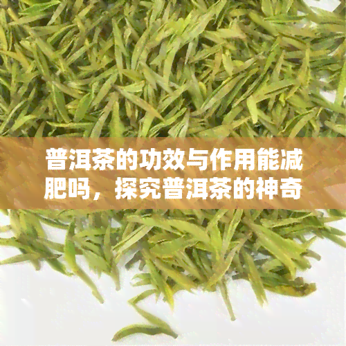 普洱茶的功效与作用能减肥吗，探究普洱茶的神奇功效：真的能帮助减肥吗？