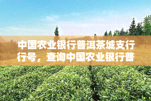 中国农业银行普洱茶城支行行号，查询中国农业银行普洱茶城支行行号