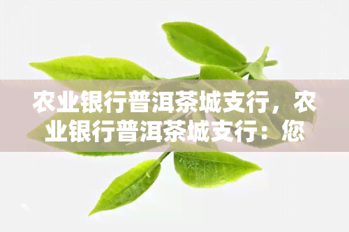 农业银行普洱茶城支行，农业银行普洱茶城支行：您的贴心金融服务伙伴