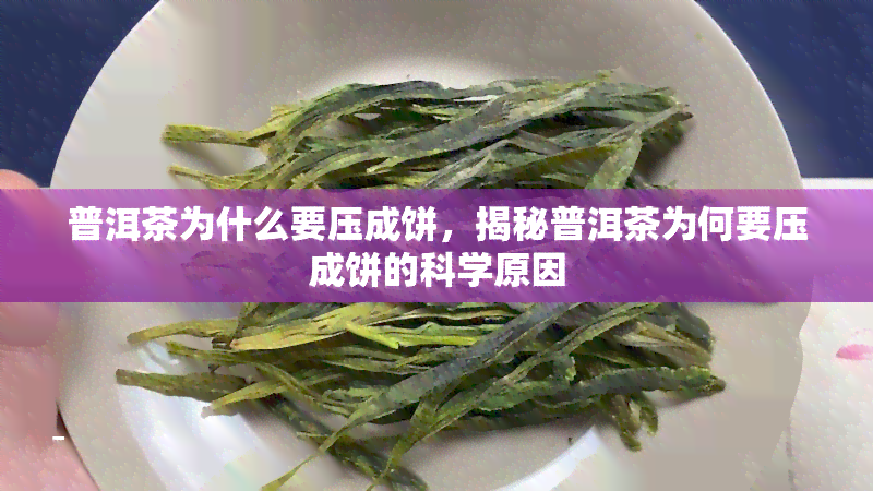 普洱茶为什么要压成饼，揭秘普洱茶为何要压成饼的科学原因