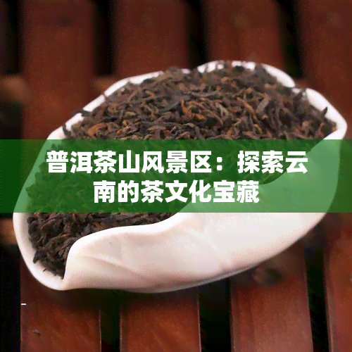 普洱茶山风景区：探索云南的茶文化宝藏