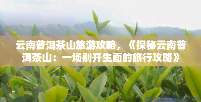 云南普洱茶山旅游攻略，《探秘云南普洱茶山：一场别开生面的旅行攻略》