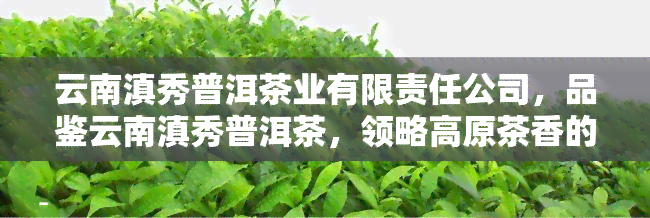 云南滇秀普洱茶业有限责任公司，品鉴云南滇秀普洱茶，领略高原茶香的独特魅力！