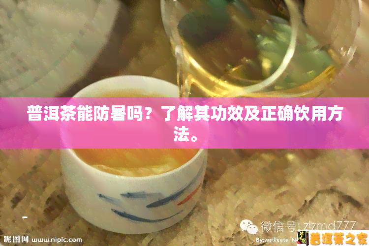 普洱茶能防暑吗？了解其功效及正确饮用方法。