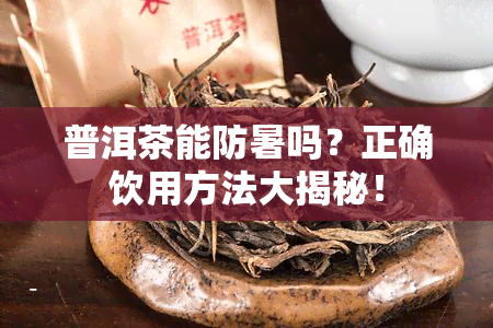 普洱茶能防暑吗？正确饮用方法大揭秘！