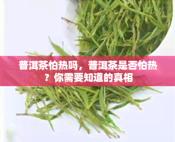 普洱茶怕热吗，普洱茶是否怕热？你需要知道的真相