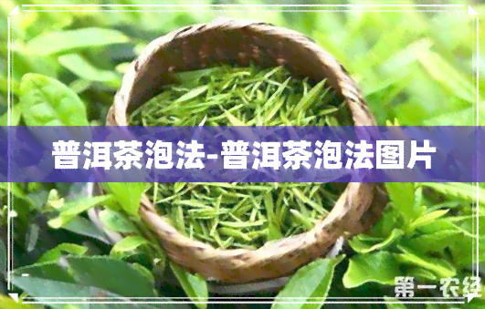 普洱茶泡法-普洱茶泡法图片