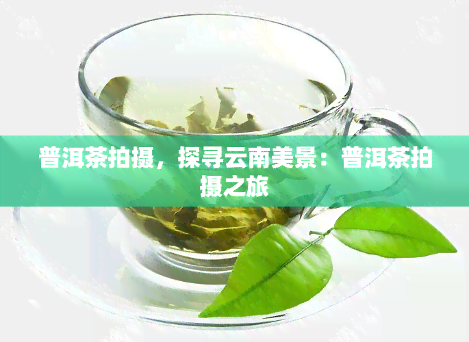 普洱茶拍摄，探寻云南美景：普洱茶拍摄之旅