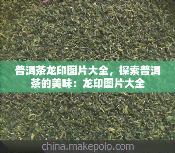 普洱茶龙印图片大全，探索普洱茶的美味：龙印图片大全