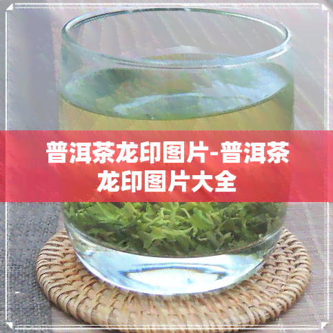 普洱茶龙印图片-普洱茶龙印图片大全