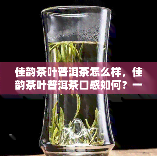 佳韵茶叶普洱茶怎么样，佳韵茶叶普洱茶口感如何？一份全面的评测报告