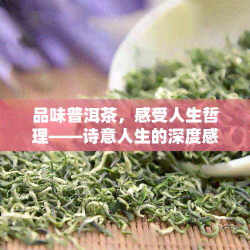 品味普洱茶，感受人生哲理——诗意人生的深度感悟