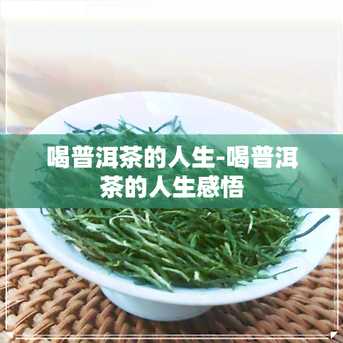 喝普洱茶的人生-喝普洱茶的人生感悟