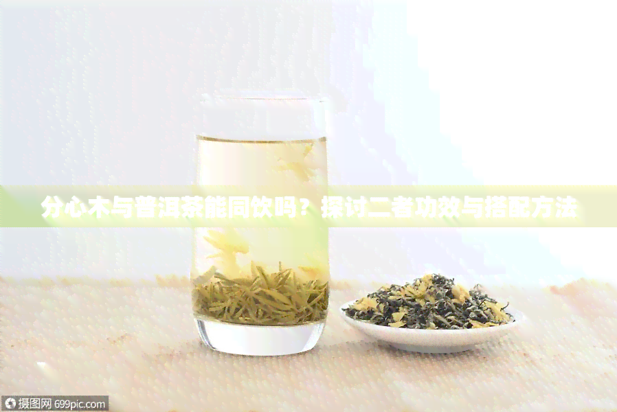 分心木与普洱茶能同饮吗？探讨二者功效与搭配方法