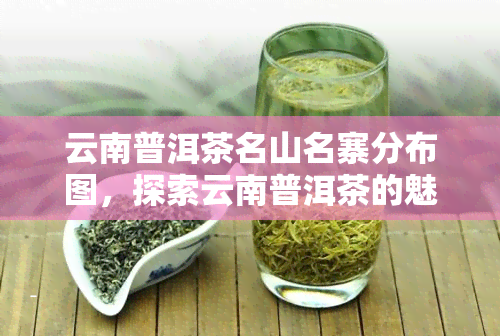 云南普洱茶名山名寨分布图，探索云南普洱茶的魅力：名山名寨分布全览图