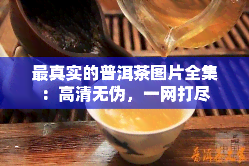 最真实的普洱茶图片全集：高清无伪，一网打尽