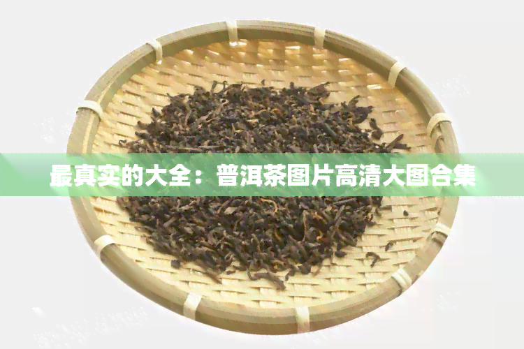 最真实的大全：普洱茶图片高清大图合集