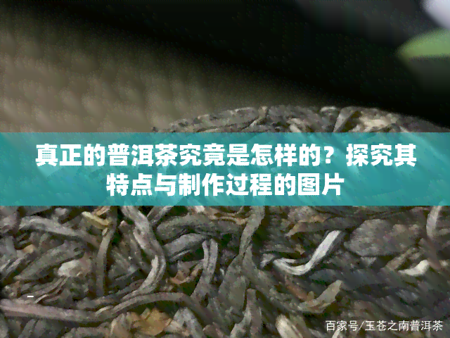 真正的普洱茶究竟是怎样的？探究其特点与制作过程的图片