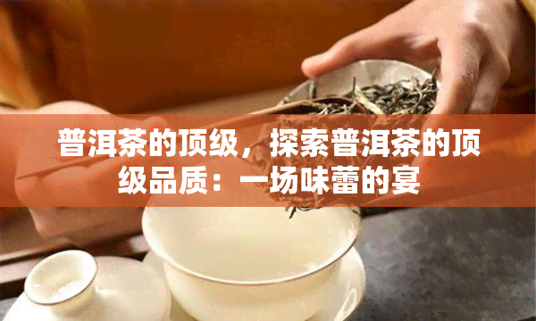 普洱茶的顶级，探索普洱茶的顶级品质：一场味蕾的宴