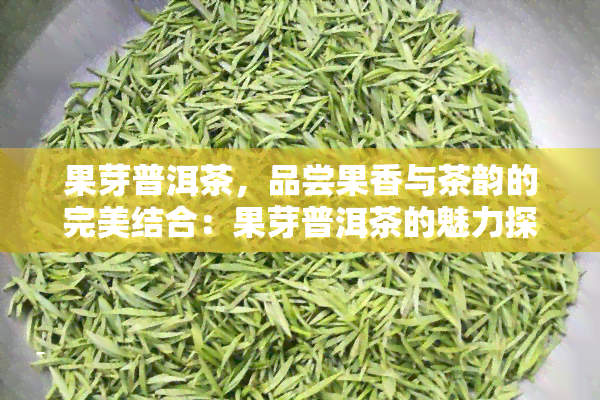 果芽普洱茶，品尝果香与茶韵的完美结合：果芽普洱茶的魅力探索