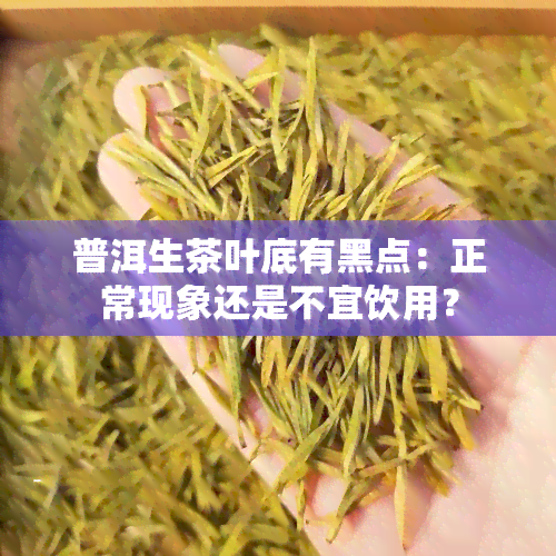 普洱生茶叶底有黑点：正常现象还是不宜饮用？