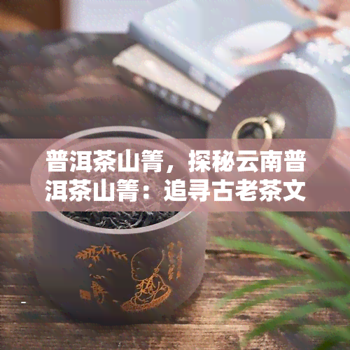 普洱茶山箐，探秘云南普洱茶山箐：追寻古老茶文化的足迹