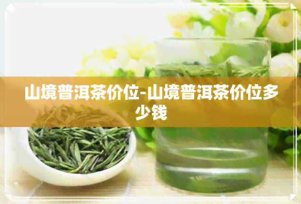 山境普洱茶价位-山境普洱茶价位多少钱