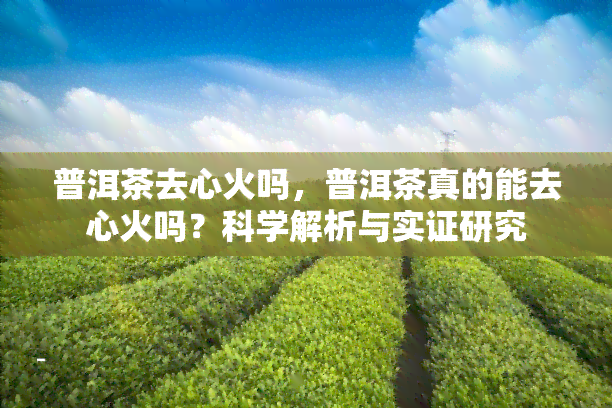 普洱茶去心火吗，普洱茶真的能去心火吗？科学解析与实证研究