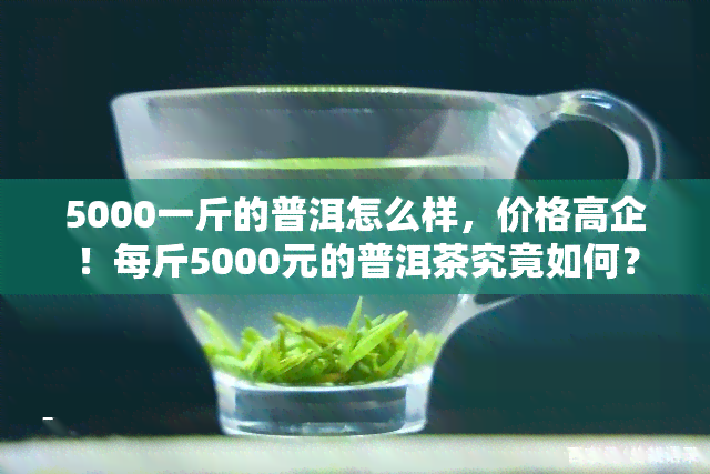 5000一斤的普洱怎么样，价格高企！每斤5000元的普洱茶究竟如何？