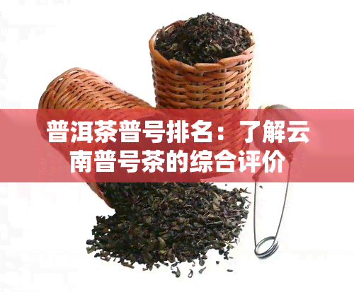 普洱茶普号排名：了解云南普号茶的综合评价