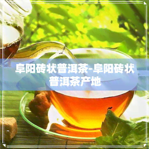 阜阳砖状普洱茶-阜阳砖状普洱茶产地