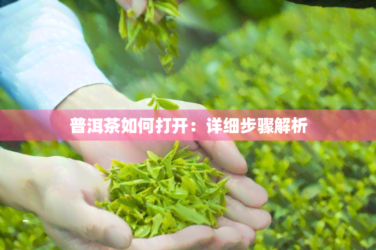 普洱茶如何打开：详细步骤解析