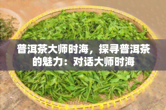 普洱茶大师时海，探寻普洱茶的魅力：对话大师时海