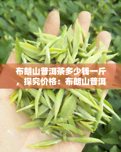 布朗山普洱茶多少钱一斤，探究价格：布朗山普洱茶每斤售价多少？