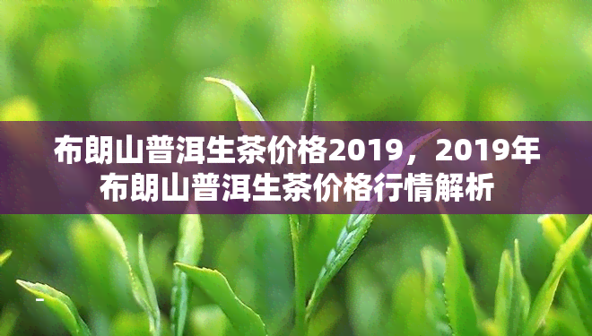 布朗山普洱生茶价格2019，2019年布朗山普洱生茶价格行情解析