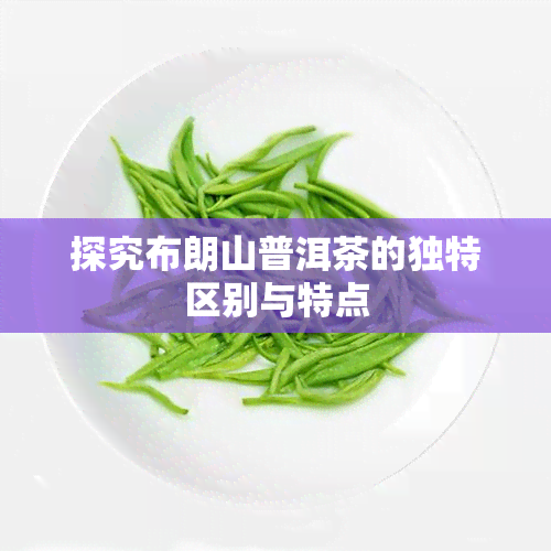 探究布朗山普洱茶的独特区别与特点