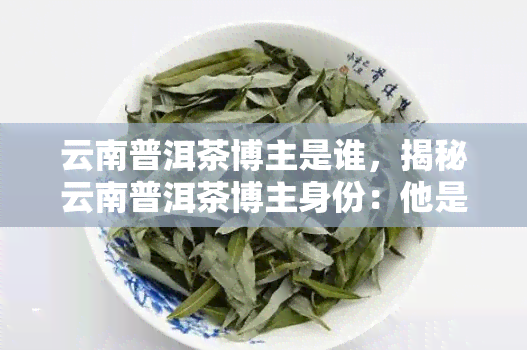 云南普洱茶博主是谁，揭秘云南普洱茶博主身份：他是谁？