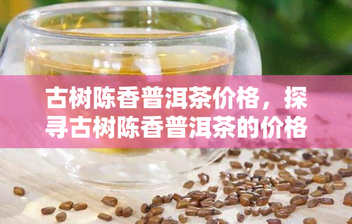 古树陈香普洱茶价格，探寻古树陈香普洱茶的价格，品味岁月留下的独特韵味