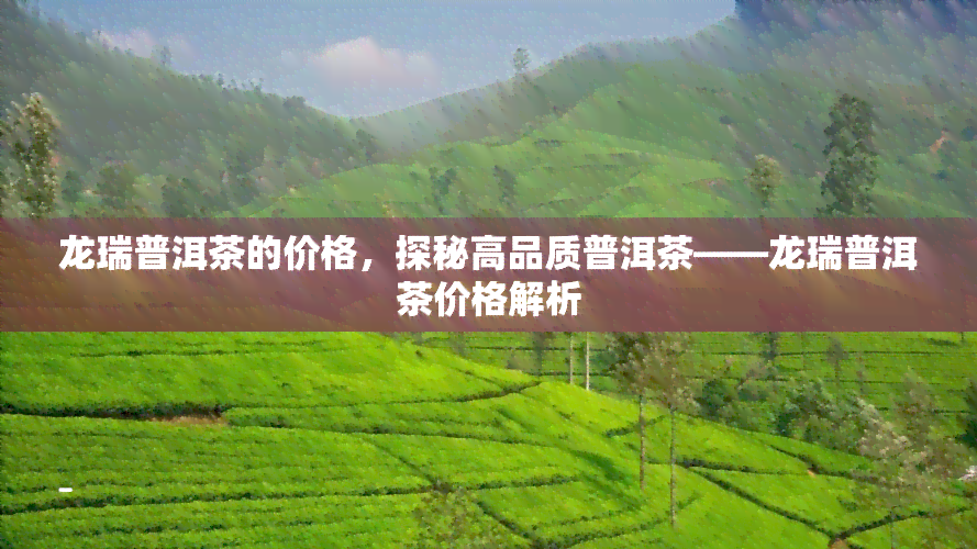 龙瑞普洱茶的价格，探秘高品质普洱茶——龙瑞普洱茶价格解析