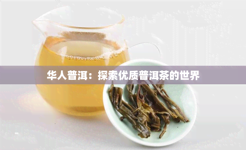 华人普洱：探索优质普洱茶的世界