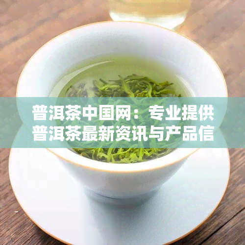 普洱茶中国网：专业提供普洱茶最新资讯与产品信息