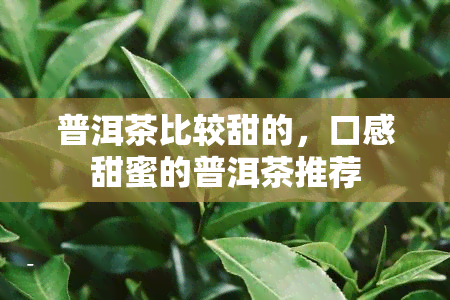 普洱茶比较甜的，口感甜蜜的普洱茶推荐