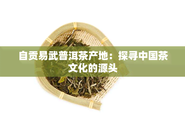 自贡易武普洱茶产地：探寻中国茶文化的源头