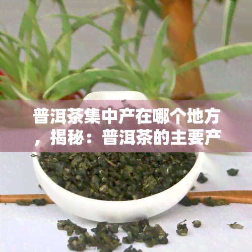 普洱茶集中产在哪个地方，揭秘：普洱茶的主要产地在哪里？