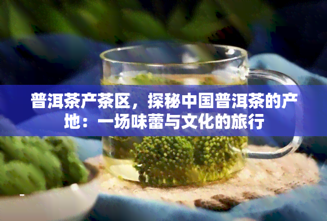 普洱茶产茶区，探秘中国普洱茶的产地：一场味蕾与文化的旅行