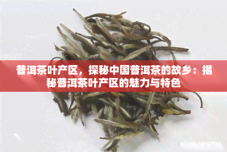 普洱茶叶产区，探秘中国普洱茶的故乡：揭秘普洱茶叶产区的魅力与特色