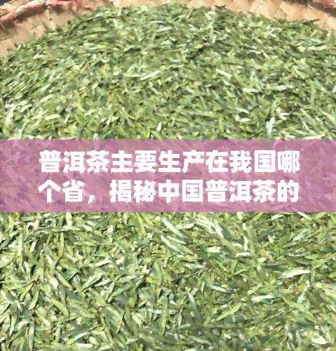 普洱茶主要生产在我国哪个省，揭秘中国普洱茶的主要产地——云南省