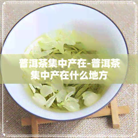 普洱茶集中产在-普洱茶集中产在什么地方