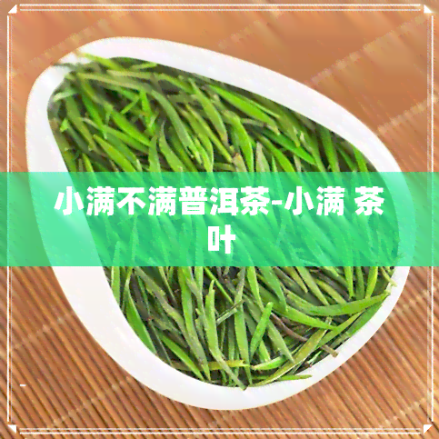 小满不满普洱茶-小满 茶叶